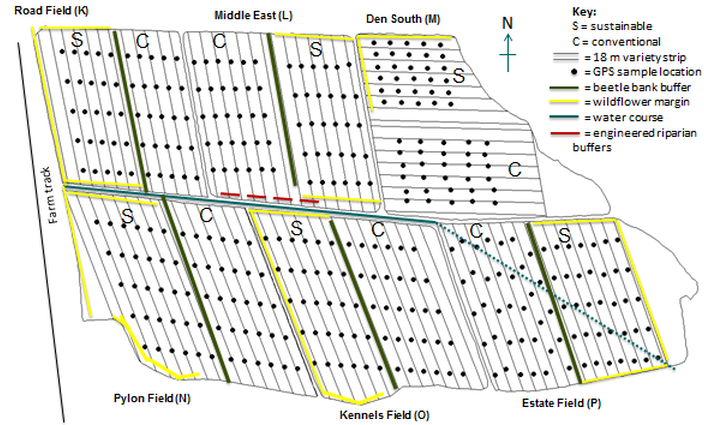 CSC field plan